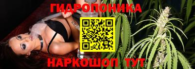 ПСИЛОЦИБИНОВЫЕ ГРИБЫ Моздок