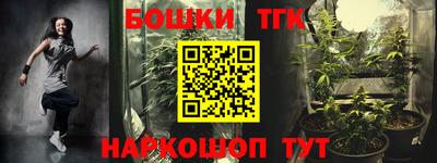 гидра Можга