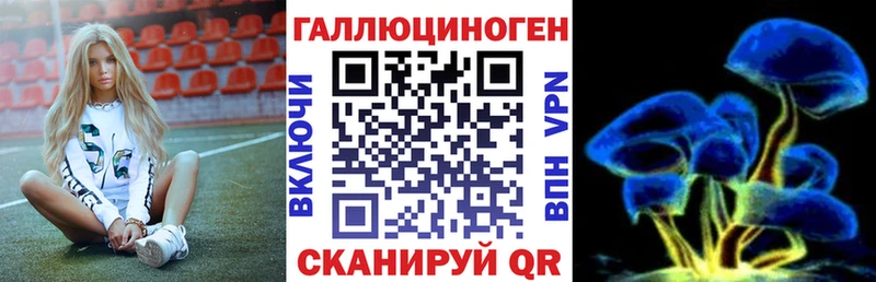 Галлюциногенные грибы GOLDEN TEACHER  наркотики  мега ССЫЛКА  Верхняя Салда 