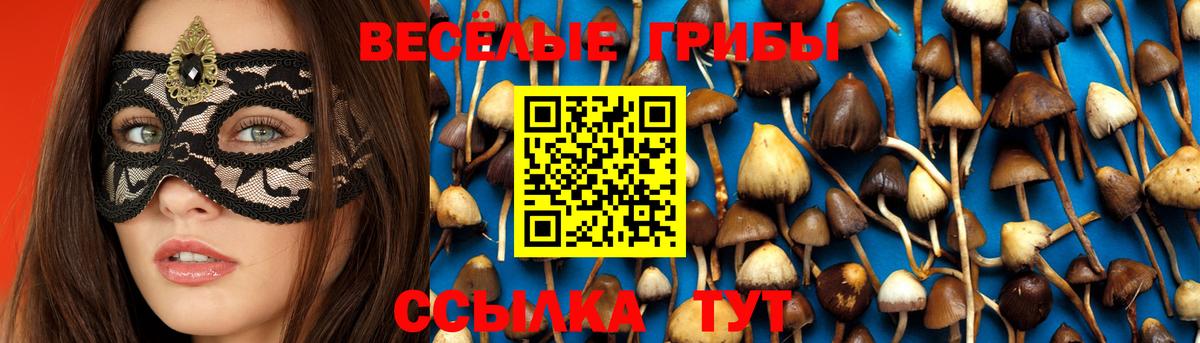 Галлюциногенные грибы Psilocybe Верхняя Салда